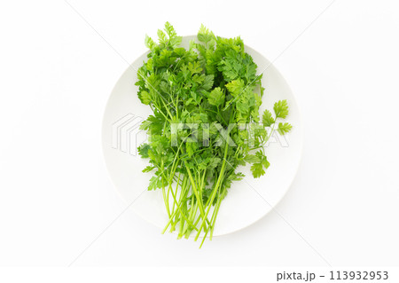 白バックのチャービル 白バックのチャービル 113932953