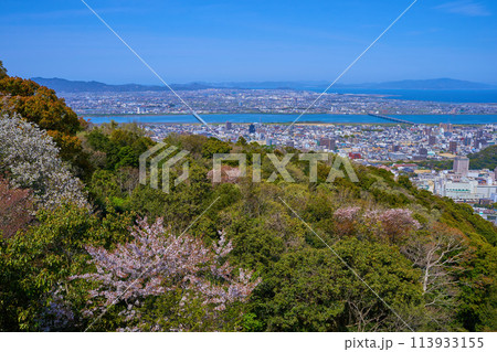 徳島県徳島市眉山町の眉山公園から徳島市街(北東側)の眺望 113933155