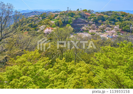 春の徳島県徳島市眉山町の眉山公園から西側の駐車場方面の新緑や山々を見る 113933158