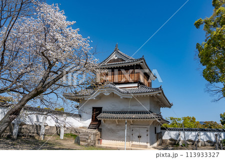 岡山県 春の岡山城の月見櫓と桜 岡山県 春の岡山城の月見櫓と桜 113933327