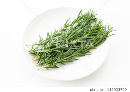 白バックのローズマリー 113933700