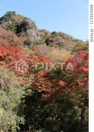 石鎚山系の紅葉 113933886