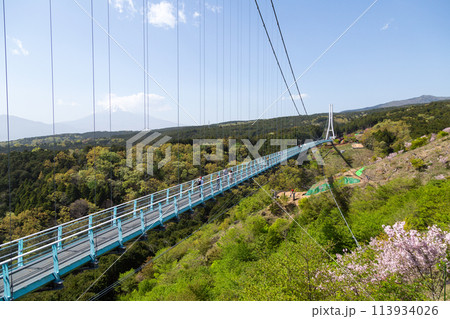 三島スカイウォーク 113934026