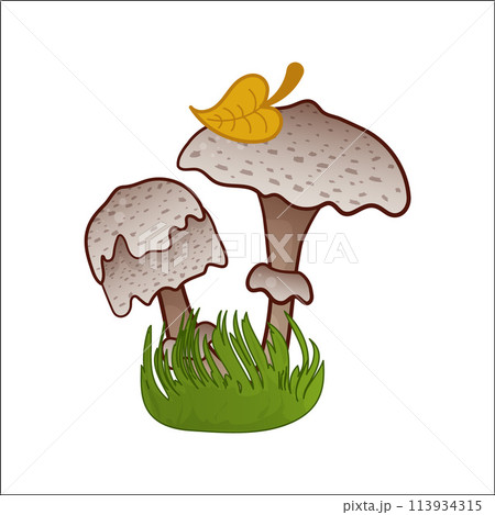 Mushroom vector isolated illustration. Toadstool in cartoon. Plants, botanists, not edible mushroom. Mushroom vector isolated illustration. Toadstool in cartoon. Plants, botanists, not edible mushroom. 113934315