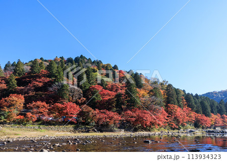 日本紅葉の名所100選 愛知県豊田市香嵐渓 日本紅葉の名所100選 愛知県豊田市香嵐渓 113934323