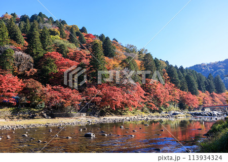 日本紅葉の名所100選　愛知県豊田市香嵐渓 113934324