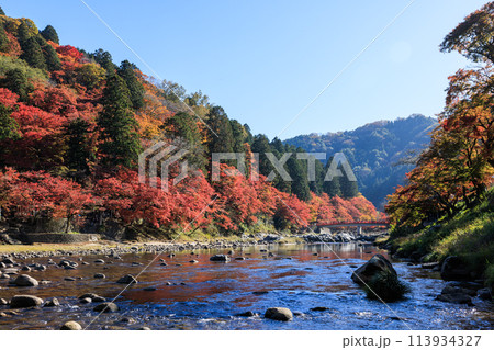 日本紅葉の名所100選　愛知県豊田市香嵐渓 113934327