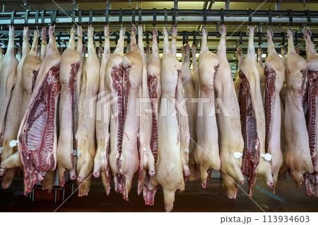 Pork meat in production. Fresh pork carcasses in a meat factory warehouse 113934603