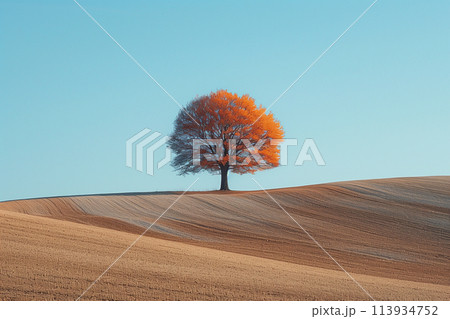 A single tree stands on a hill against a clear blue sky 113934752