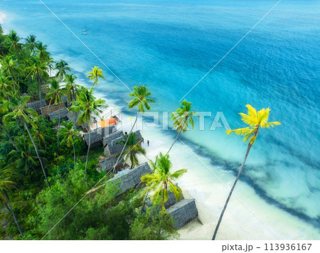 Aerial view of palms, bungalows, sandy beach, sea with waves 113936167
