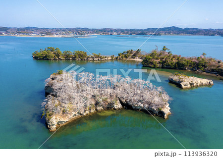 春の松島(宮城県) 春の松島(宮城県) 113936320