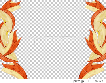 Gorgeous apples painted in watercolors. Can also be used vertically. Frame illustration material Gorgeous apples painted in watercolors. Can also be used vertically. Frame illustration material 113936374