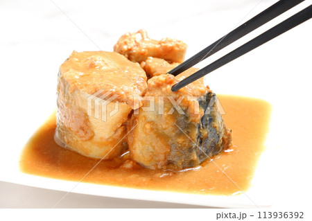 新鮮なサバを味噌で煮込んだサバの味噌煮 113936392