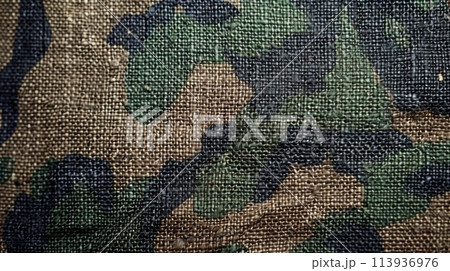 Army Camouflage fabric texture background 113936976