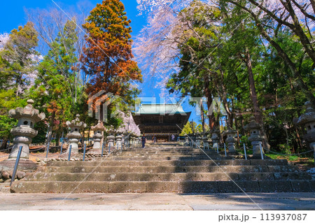 宮城県仙台市 春の仙台東照宮 参道 113937087