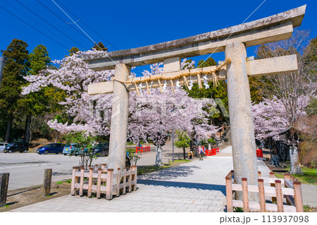 宮城県仙台市 春の仙台東照宮 石鳥居 宮城県仙台市 春の仙台東照宮 石鳥居 113937098