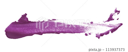 Purple paintbrush isolated on white background. Dark purple color. Purple paintbrush isolated on white background. Dark purple color. 113937373