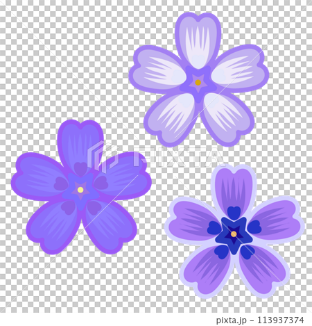 シバザクラのイラスト紫系 113937374
