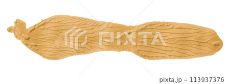 Orange brush isolated on white background. golden apricot color Orange brush isolated on white background. golden apricot color 113937376