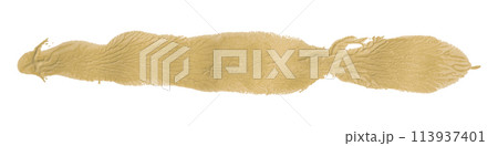 Light brown brush isolated on white background. Watercolor Light brown brush isolated on white background. Watercolor 113937401