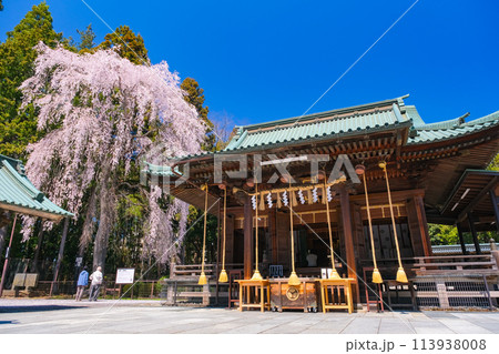 宮城県仙台市 春の仙台東照宮 拝殿 宮城県仙台市 春の仙台東照宮 拝殿 113938008