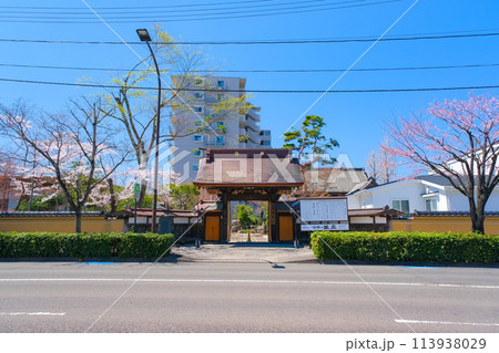 宮城県仙台市 春の仙岳院 山門 113938029