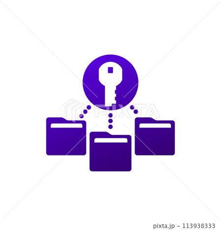 folders and a key icon, vector 113938333