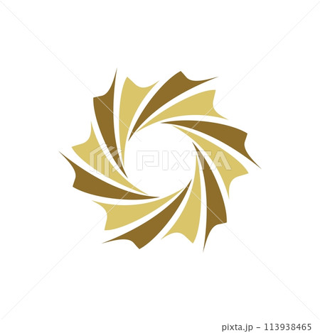 Ornamental Swirl Star Logo Template Illustration Design. Vector EPS 10. 113938465