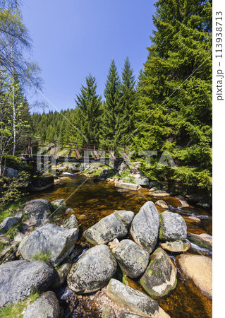 Spring landscape near Karlovsky most, Czech and Poland border, Jizerky mountains, Czech Republic 113938713