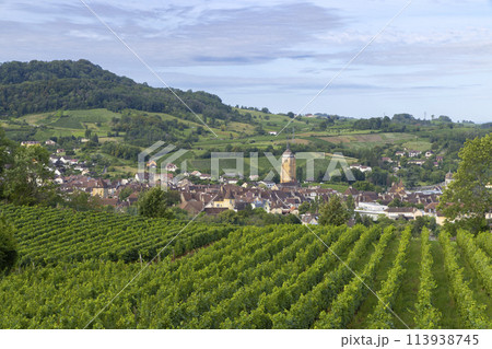 Vineyards with Arbois town, Department Jura, Franche-Comte, France Vineyards with Arbois town, Department Jura, Franche-Comte, France 113938745