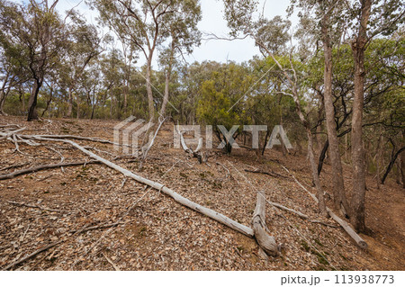Plenty Gorge Parklands in Australia 113938773