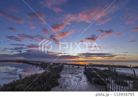 Typical landscape during sunrise in Parc Naturel regional de Camargue, Provence, France 113938795