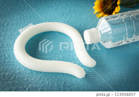 ネックリングとペットボトル入りの水 熱中症対策 冷却グッズ 水分摂取 健康管理 暑さ対策 ネックリングとペットボトル入りの水 熱中症対策 冷却グッズ 水分摂取 健康管理 暑さ対策 113938857