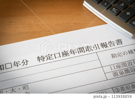 特定口座年間取引報告書 投資 特定口座年間取引報告書 投資 113938859