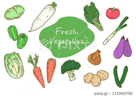 手描き風シンプルな野菜のイラストセット 113940790