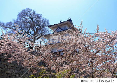 【香川県】桜咲く春の丸亀城(二の丸から見た天守と二の丸に咲く桜) 【香川県】桜咲く春の丸亀城(二の丸から見た天守と二の丸に咲く桜) 113940817