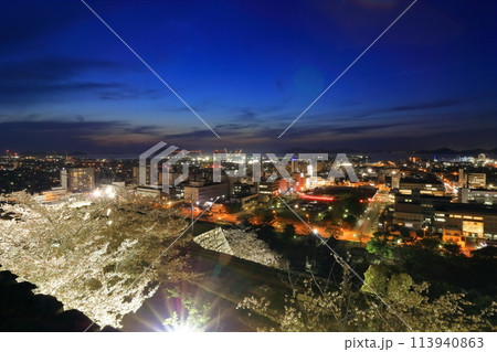【香川県】桜咲く春の丸亀城より眺める丸亀市街地と瀬戸内海の夜景 113940863
