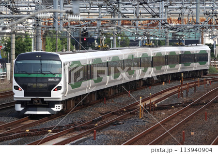 修学旅行列車・集約臨：E257系大宮車（回送列車） 113940904