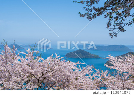 紫雲出山 桜満開 紫雲出山 桜満開 113941073