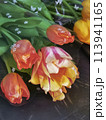 A bouquet of beautiful tulips on the table 113941165