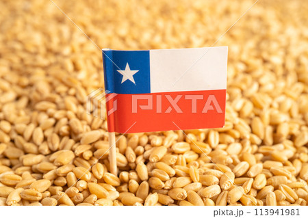 Grains wheat with Chile flag, trade export and economy. Grains wheat with Chile flag, trade export and economy. 113941981