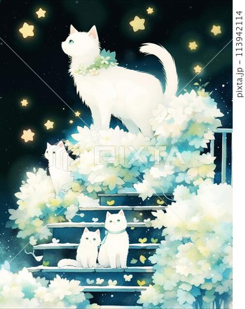 夜空を見上げる猫たち 夜空を見上げる猫たち 113942114