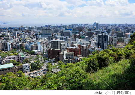 城山公園展望台から見る鹿児島市の街並み 城山公園展望台から見る鹿児島市の街並み 113942805