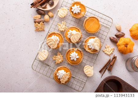 Mini pumpkin pies for Thanksgiving with leaves and pumpkin garnishes and whipped cream Mini pumpkin pies for Thanksgiving with leaves and pumpkin garnishes and whipped cream 113943133