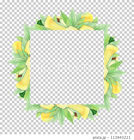 watercolor frame with avocado on white background 113943221