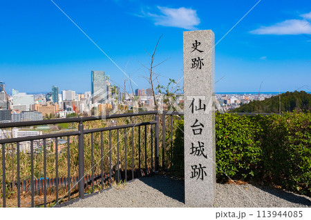 宮城県仙台市 仙台城跡の展望スポットと仙台の街並み 113944085