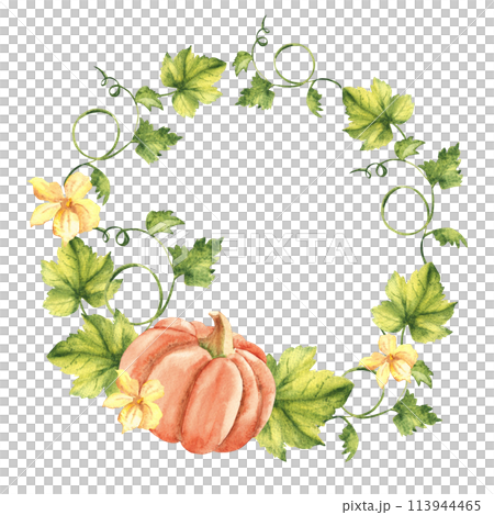 Pumpkin watercolor wreath. Hand drawn vegetable botanical illustration isolated on white background. Can be used for invitation and greeting cards, logos and textile design. Vintage stile. Pumpkin watercolor wreath. Hand drawn vegetable botanical illustration isolated on white background. Can be used for invitation and greeting cards, logos and textile design. Vintage stile. 113944465