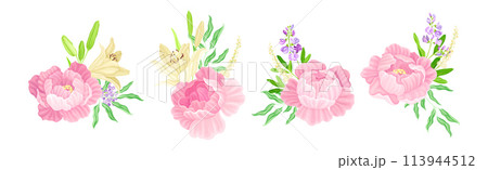 Colorful Peony Flower Buds with Showy Petals Vector Set Colorful Peony Flower Buds with Showy Petals Vector Set 113944512