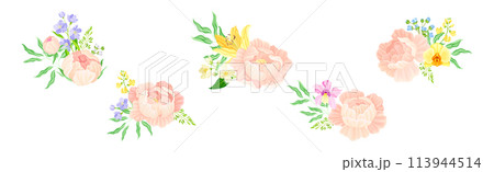 Colorful Peony Flower Buds with Showy Petals Vector Set 113944514