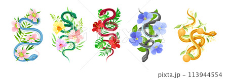 Graceful Snakes Coiled Around Beautiful Blooming Flower and Foliage Vector Set Graceful Snakes Coiled Around Beautiful Blooming Flower and Foliage Vector Set 113944554